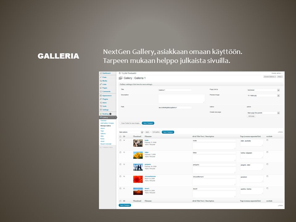 NextGen Gallery, asiakkaan omaan käyttöön. Tarpeen mukaan helppo julkaista sivuilla. GALLERIA