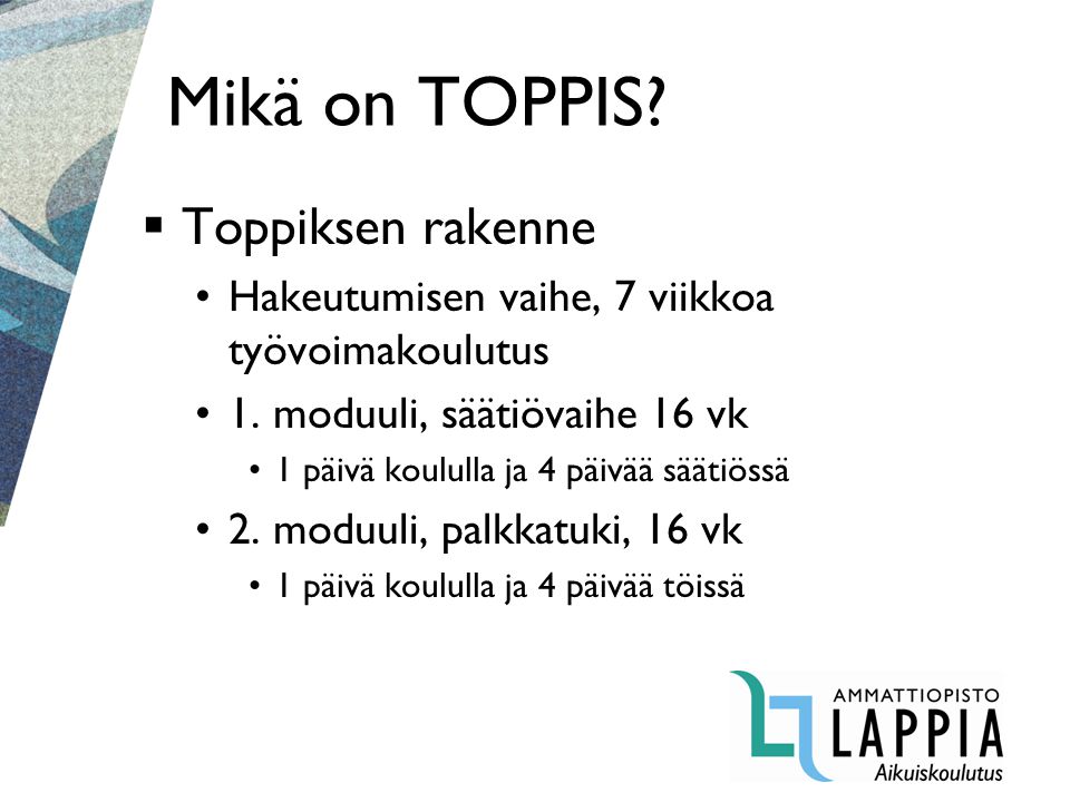 Mikä on TOPPIS.  Toppiksen rakenne Hakeutumisen vaihe, 7 viikkoa työvoimakoulutus 1.