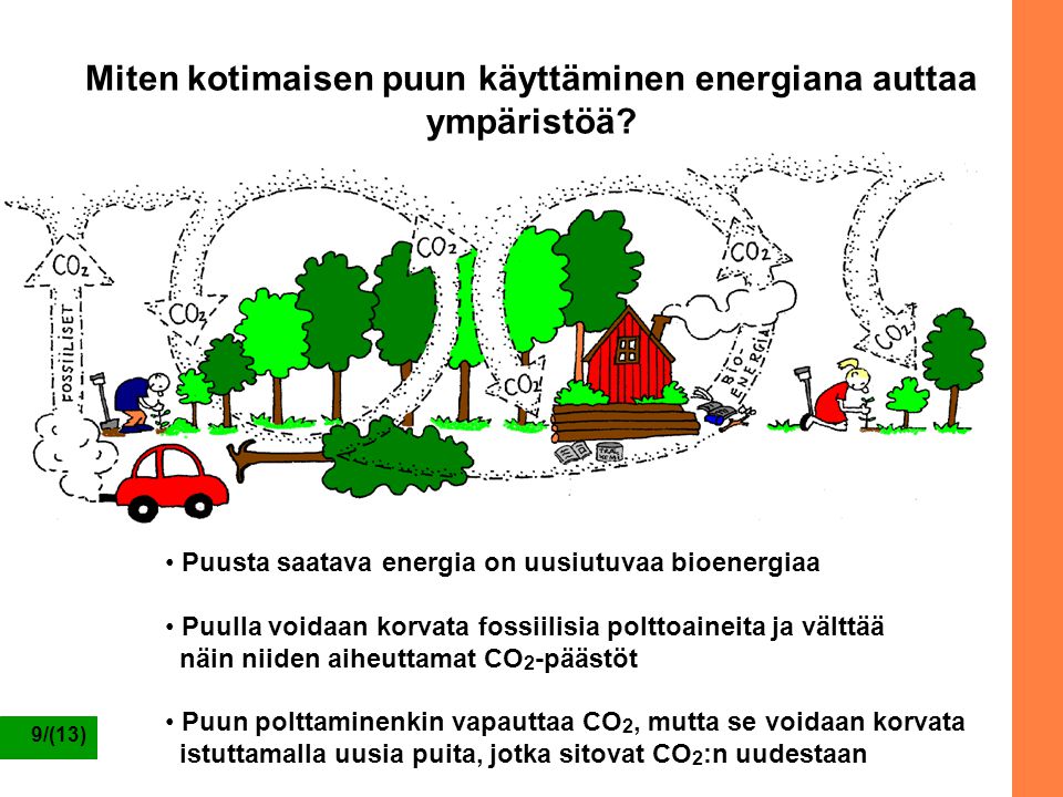 9/(13) Miten kotimaisen puun käyttäminen energiana auttaa ympäristöä.
