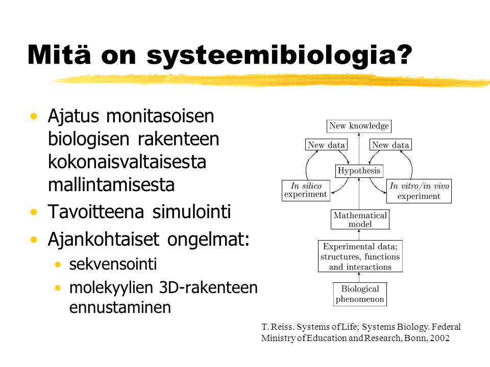 Mitä on systeemibiologia.