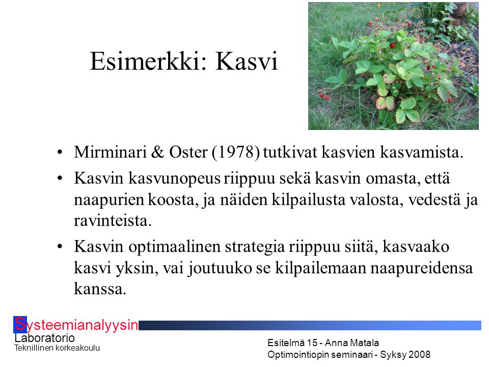 S ysteemianalyysin Laboratorio Teknillinen korkeakoulu Esitelmä 15 - Anna Matala Optimointiopin seminaari - Syksy 2008 Esimerkki: Kasvi Mirminari & Oster (1978) tutkivat kasvien kasvamista.