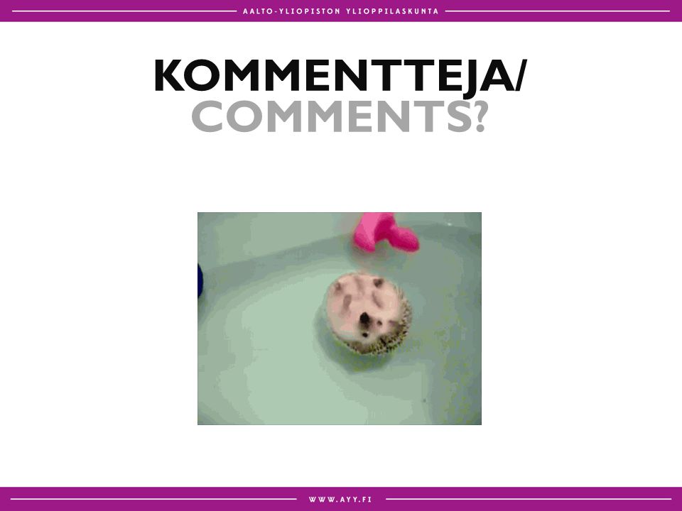 KOMMENTTEJA/ COMMENTS