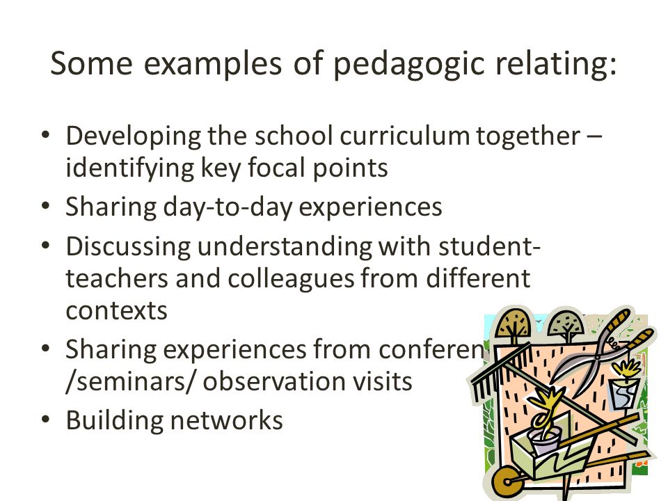 Some examples of pedagogic relating: Developing the school curriculum together – identifying key focal points Sharing day-to-day experiences Discussing understanding with student- teachers and colleagues from different contexts Sharing experiences from conferences /seminars/ observation visits Building networks