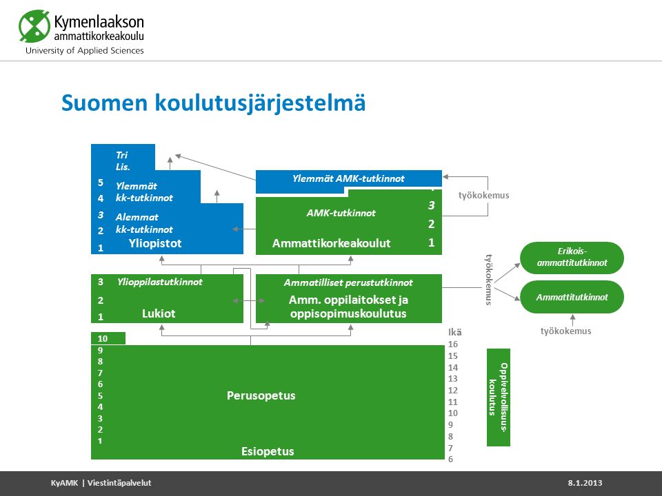 Suomen koulutusjärjestelmä 3Ylioppilastutkinnot 2 1 Ammatilliset perustutkinnot Amm.