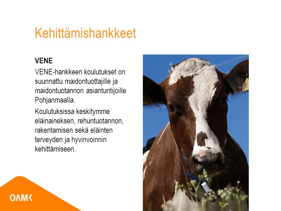 Kehittämishankkeet VENE VENE-hankkeen koulutukset on suunnattu maidontuottajille ja maidontuotannon asiantuntijoille Pohjanmaalla.