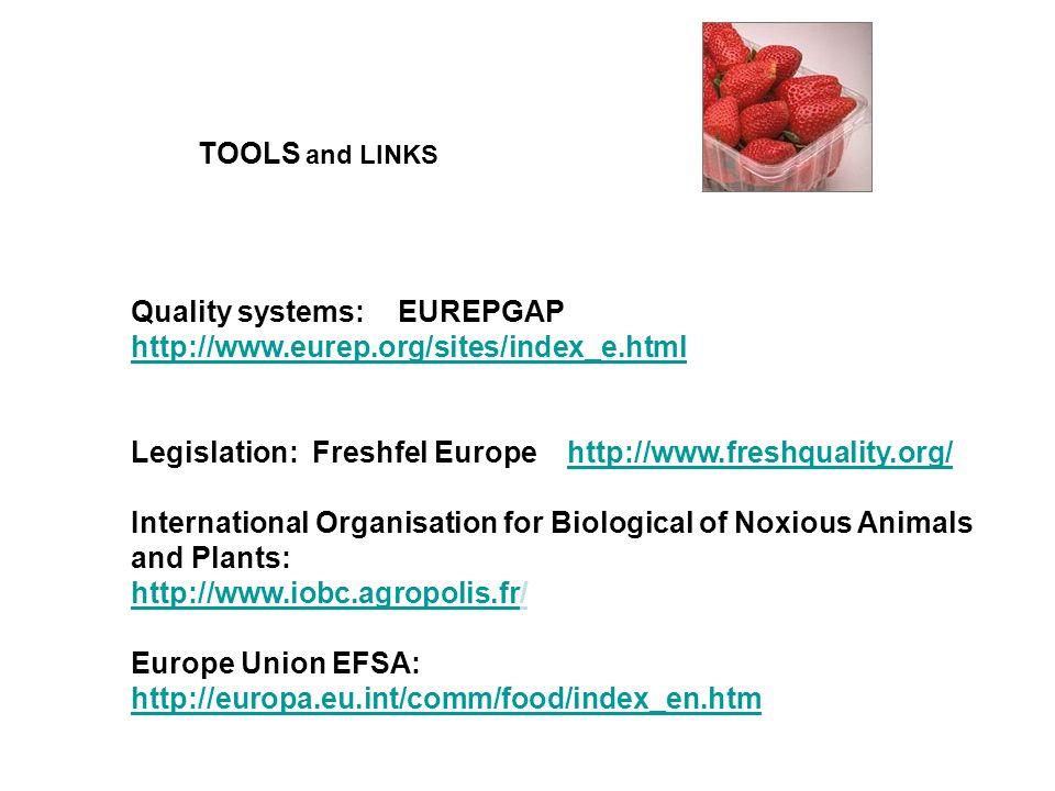 TOOLS and LINKS Quality systems: EUREPGAP     Legislation: Freshfel Europe   International Organisation for Biological of Noxious Animals and Plants:   Europe Union EFSA: