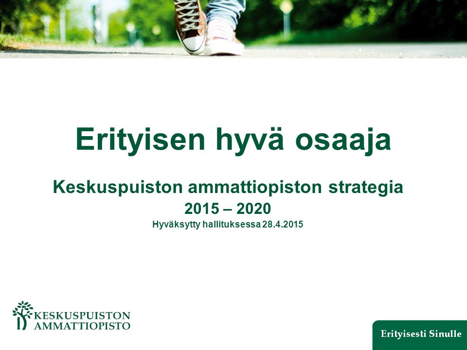 Erityisen hyvä osaaja Keskuspuiston ammattiopiston strategia 2015 – 2020 Hyväksytty hallituksessa