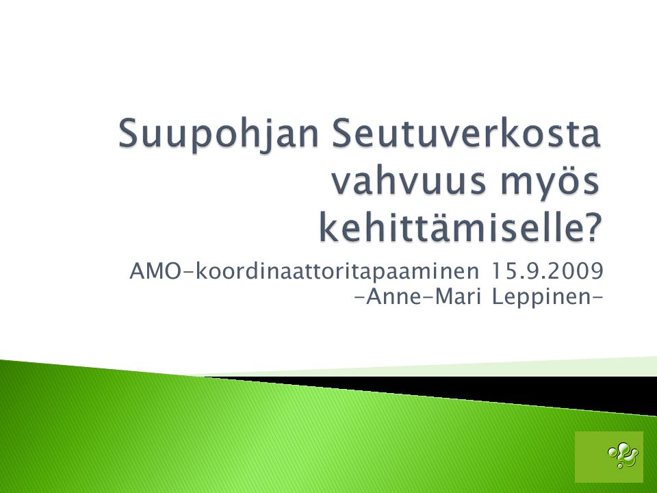 AMO-koordinaattoritapaaminen Anne-Mari Leppinen-