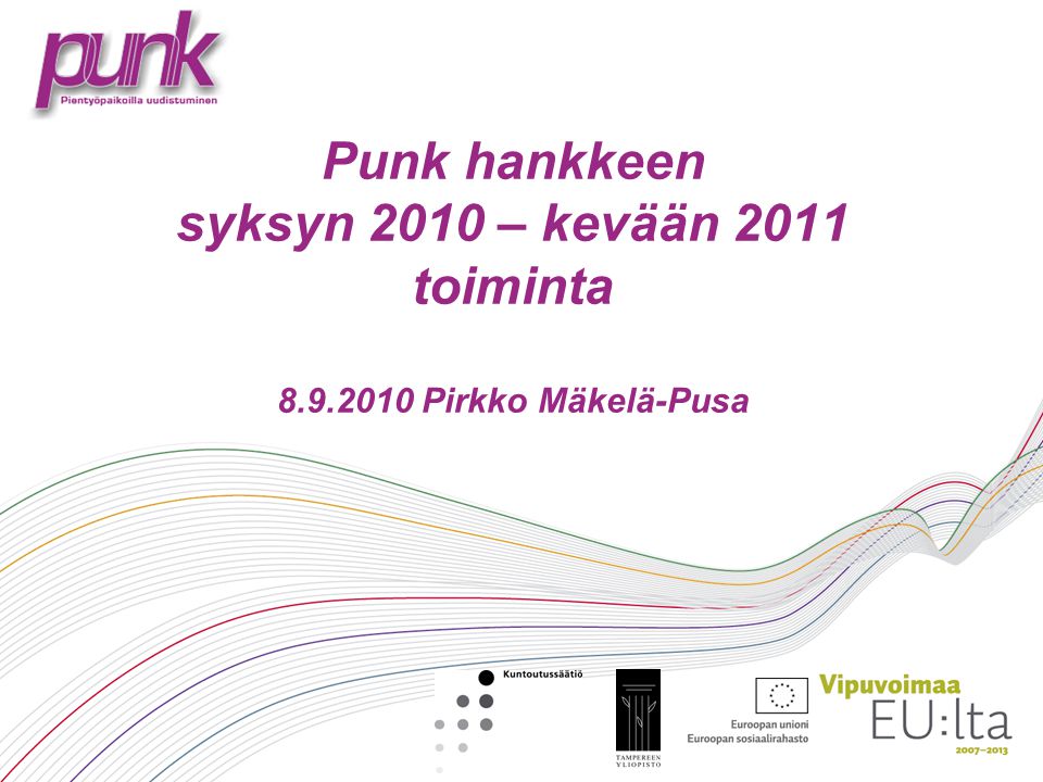 Punk hankkeen syksyn 2010 – kevään 2011 toiminta Pirkko Mäkelä-Pusa