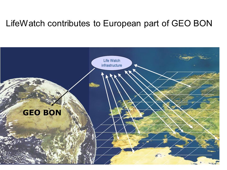 LifeWatch contributes to European part of GEO BON GEO BON