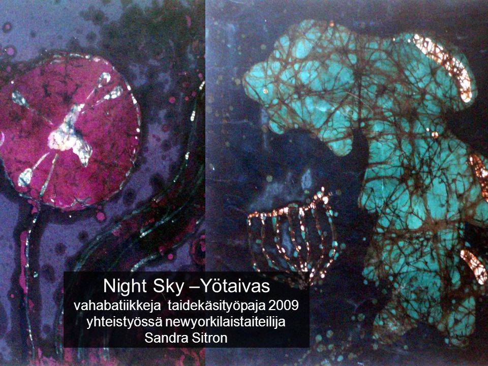 Night Sky –Yötaivas vahabatiikkeja taidekäsityöpaja 2009 yhteistyössä newyorkilaistaiteilija Sandra Sitron