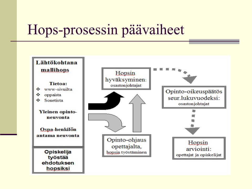 Hops-prosessin päävaiheet