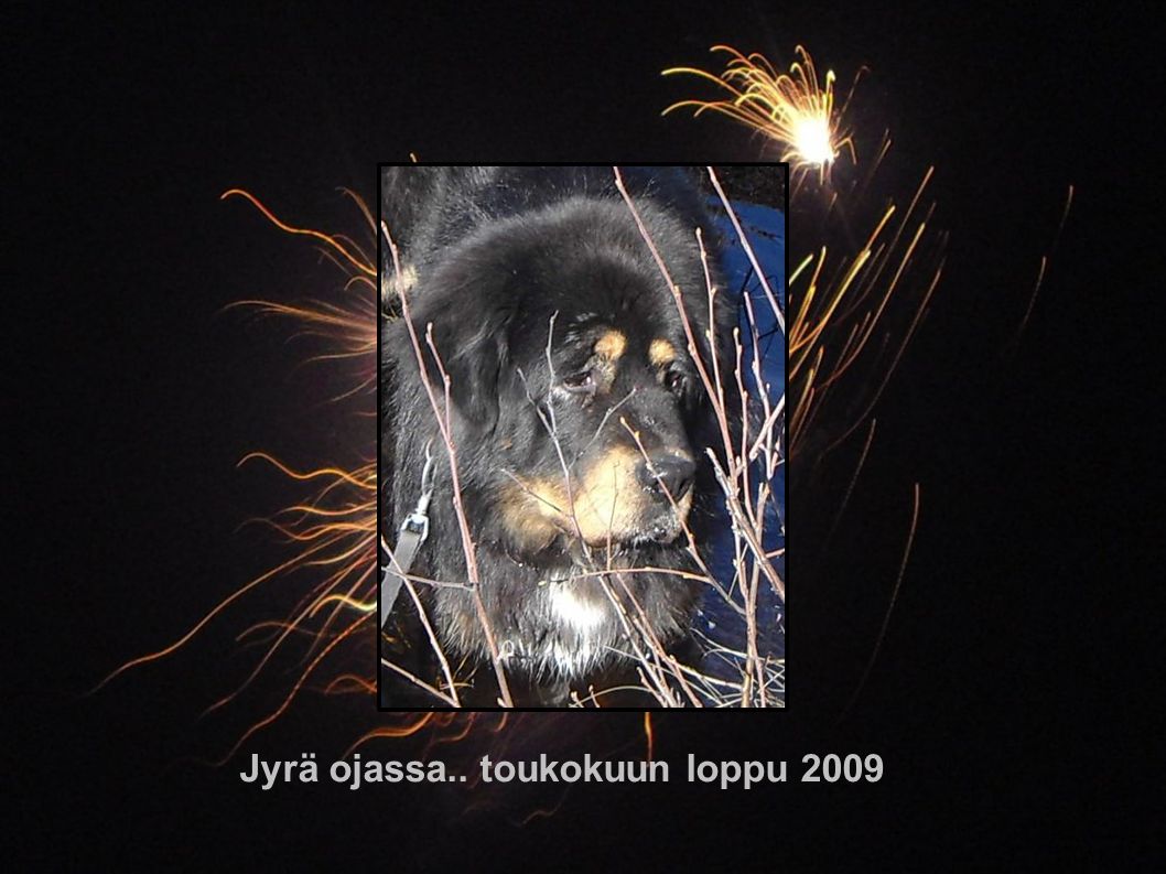 Jyrä ojassa.. toukokuun loppu 2009