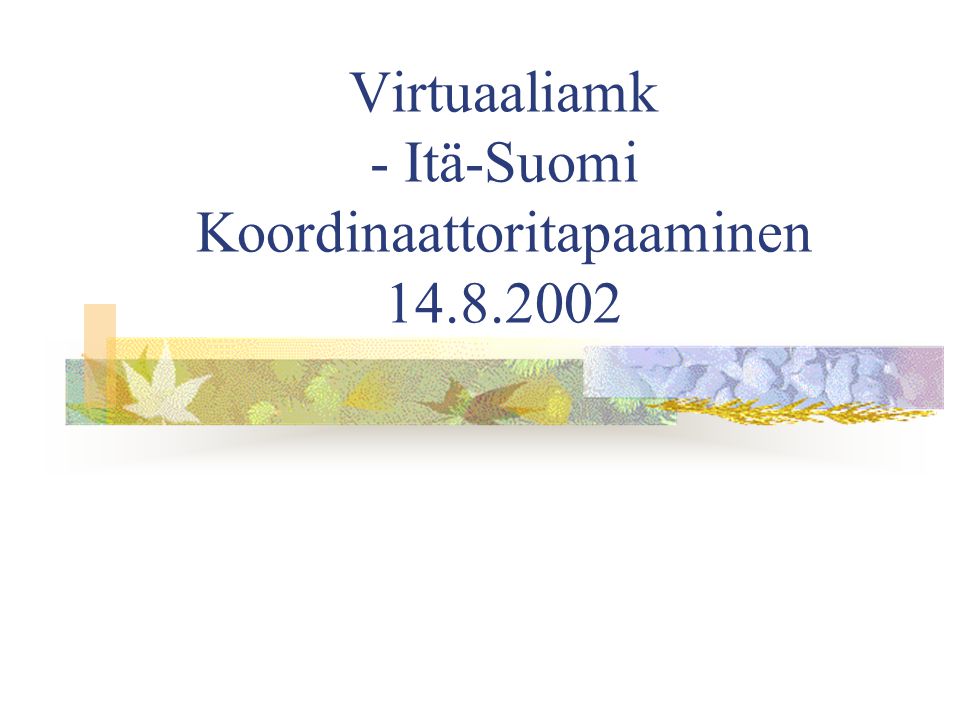 Virtuaaliamk - Itä-Suomi Koordinaattoritapaaminen