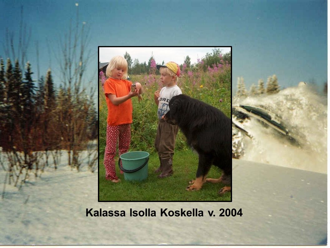 Kalassa Isolla Koskella v. 2004