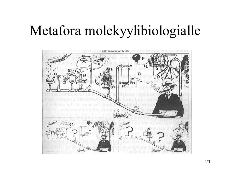 21 Metafora molekyylibiologialle