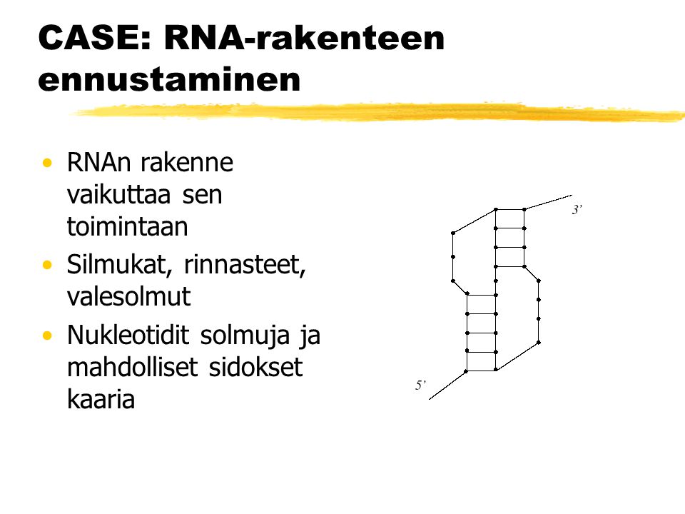 CASE: RNA-rakenteen ennustaminen RNAn rakenne vaikuttaa sen toimintaan Silmukat, rinnasteet, valesolmut Nukleotidit solmuja ja mahdolliset sidokset kaaria