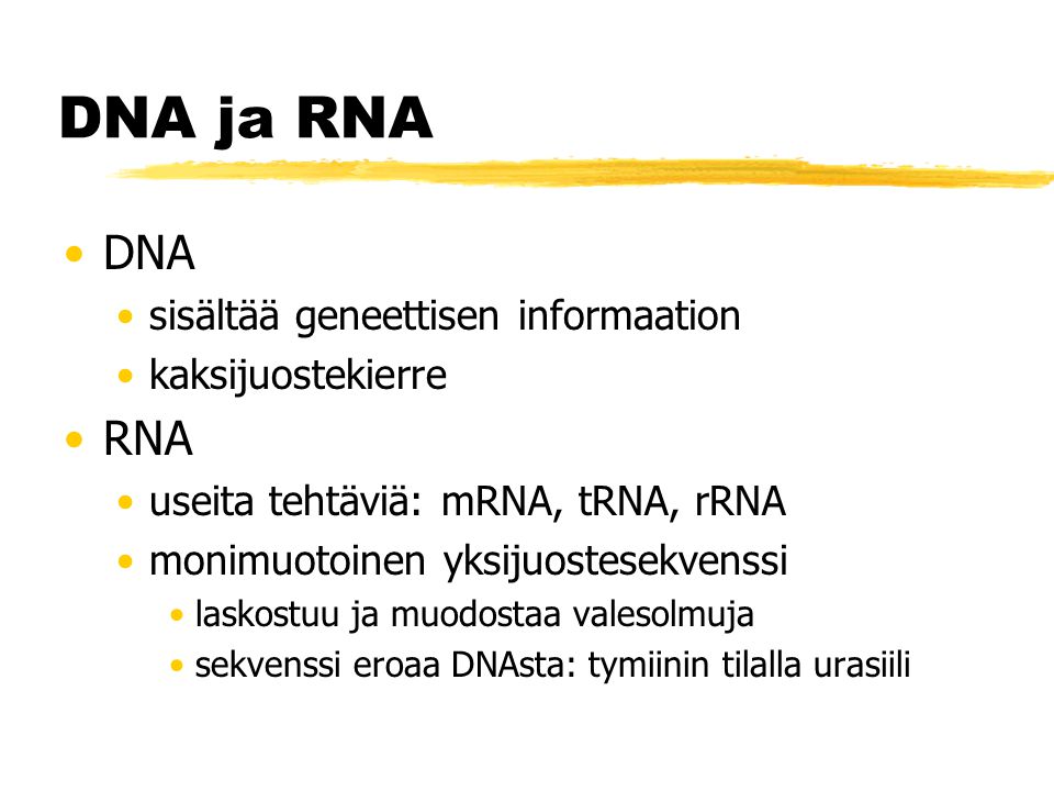 DNA ja RNA DNA sisältää geneettisen informaation kaksijuostekierre RNA useita tehtäviä: mRNA, tRNA, rRNA monimuotoinen yksijuostesekvenssi laskostuu ja muodostaa valesolmuja sekvenssi eroaa DNAsta: tymiinin tilalla urasiili