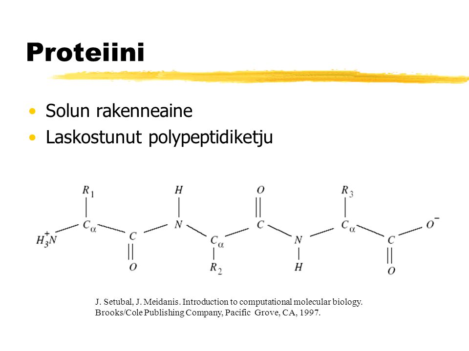 Proteiini Solun rakenneaine Laskostunut polypeptidiketju J.