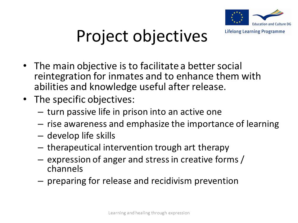 Project objectives The main objective is to facilitate a better social reintegration for inmates and to enhance them with abilities and knowledge useful after release.