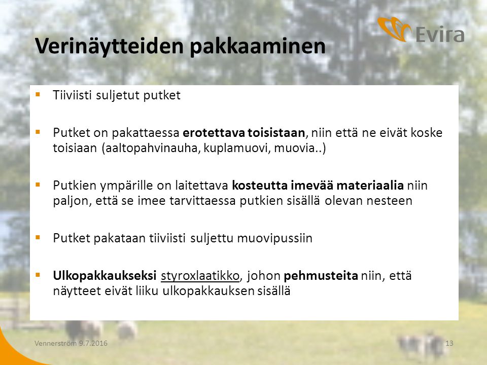 makea musta pillua kuvia