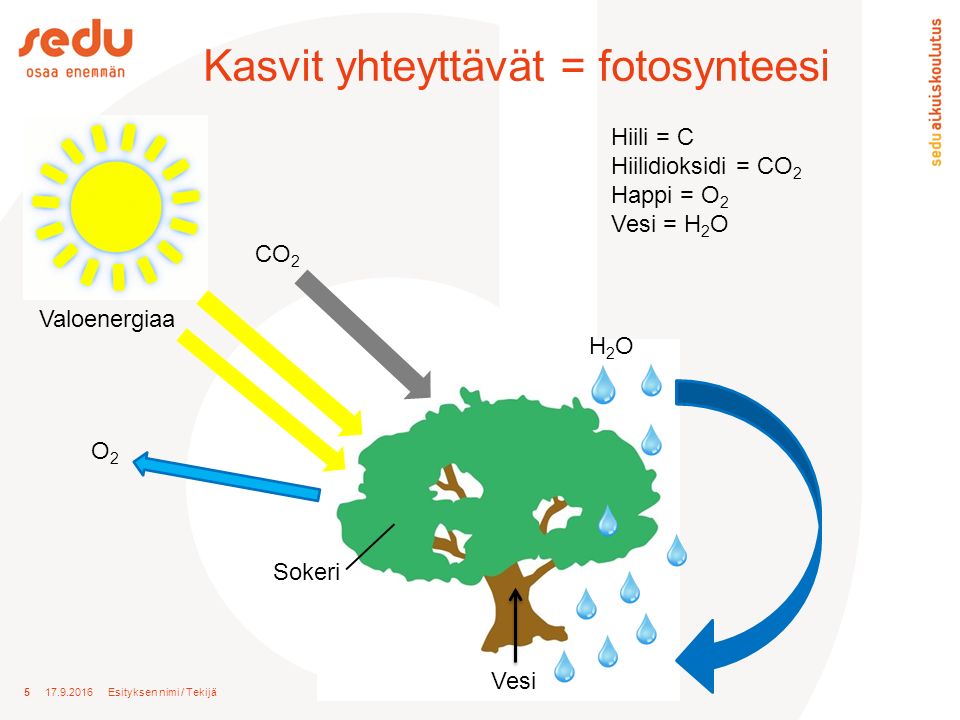 Esityksen nimi / Tekijä Kasvit yhteyttävät = fotosynteesi Hiili = C Hiilidioksidi = CO 2 Happi = O 2 Vesi = H 2 O H2OH2O CO 2 Valoenergiaa Sokeri O2O2 Vesi