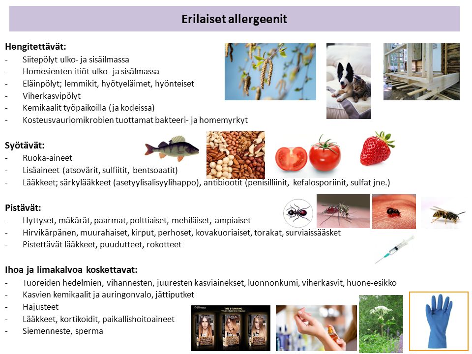 Erilaiset allergeenit Hengitettävät: -Siitepölyt ulko- ja sisäilmassa -Homesienten itiöt ulko- ja sisälmassa -Eläinpölyt; lemmikit, hyötyeläimet, hyönteiset -Viherkasvipölyt -Kemikaalit työpaikoilla (ja kodeissa) -Kosteusvauriomikrobien tuottamat bakteeri- ja homemyrkyt Syötävät: -Ruoka-aineet -Lisäaineet (atsovärit, sulfiitit, bentsoaatit) -Lääkkeet; särkylääkkeet (asetyylisalisyylihappo), antibiootit (penisilliinit, kefalosporiinit, sulfat jne.) Pistävät: -Hyttyset, mäkärät, paarmat, polttiaiset, mehiläiset, ampiaiset -Hirvikärpänen, muurahaiset, kirput, perhoset, kovakuoriaiset, torakat, surviaissääsket -Pistettävät lääkkeet, puudutteet, rokotteet Ihoa ja limakalvoa koskettavat: -Tuoreiden hedelmien, vihannesten, juuresten kasviainekset, luonnonkumi, viherkasvit, huone-esikko -Kasvien kemikaalit ja auringonvalo, jättiputket -Hajusteet -Lääkkeet, kortikoidit, paikallishoitoaineet -Siemenneste, sperma