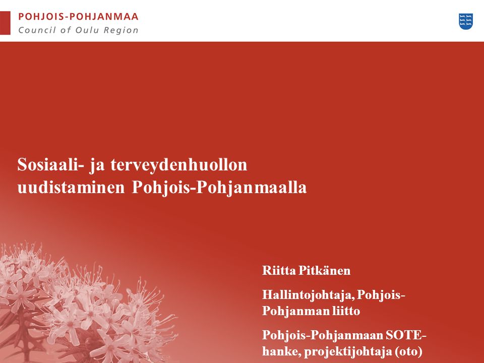 Riitta Pitkänen Hallintojohtaja, Pohjois- Pohjanman liitto Pohjois-Pohjanmaan SOTE- hanke, projektijohtaja (oto) Sosiaali- ja terveydenhuollon uudistaminen Pohjois-Pohjanmaalla