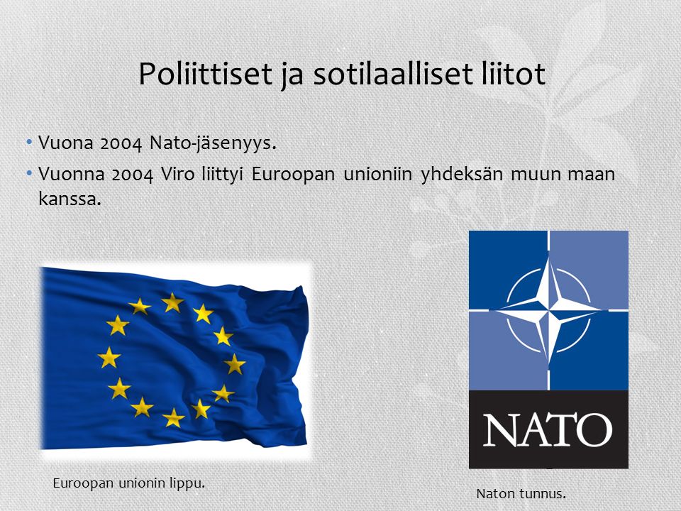 Poliittiset ja sotilaalliset liitot Vuona 2004 Nato-jäsenyys.