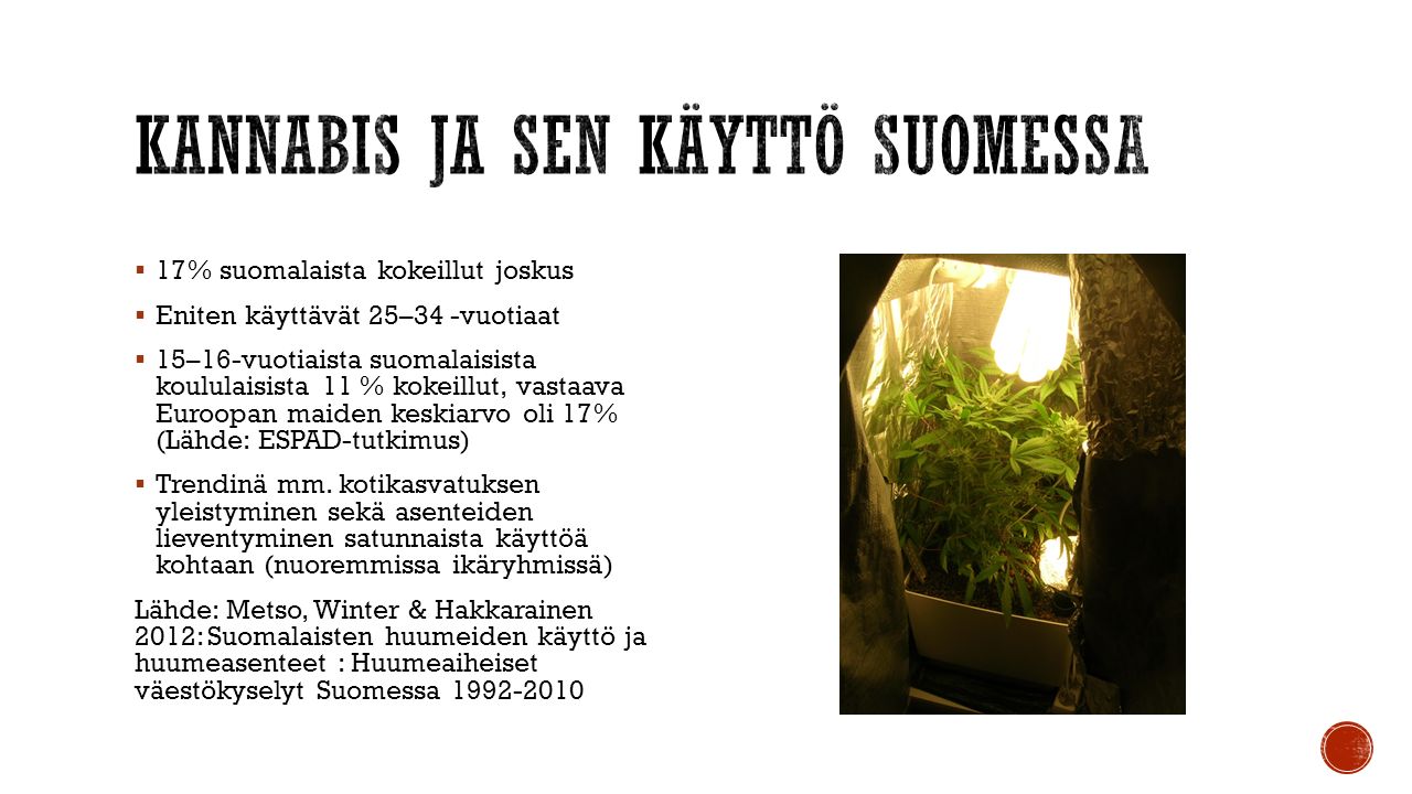 Taru Kekoni YTT, Yliopistonlehtori Itä-Suomen Yliopisto ...