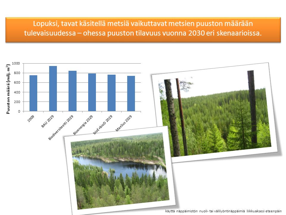 Puuston määrä Lopuksi, tavat käsitellä metsiä vaikuttavat metsien puuston määrään tulevaisuudessa – ohessa puuston tilavuus vuonna 2030 eri skenaarioissa.