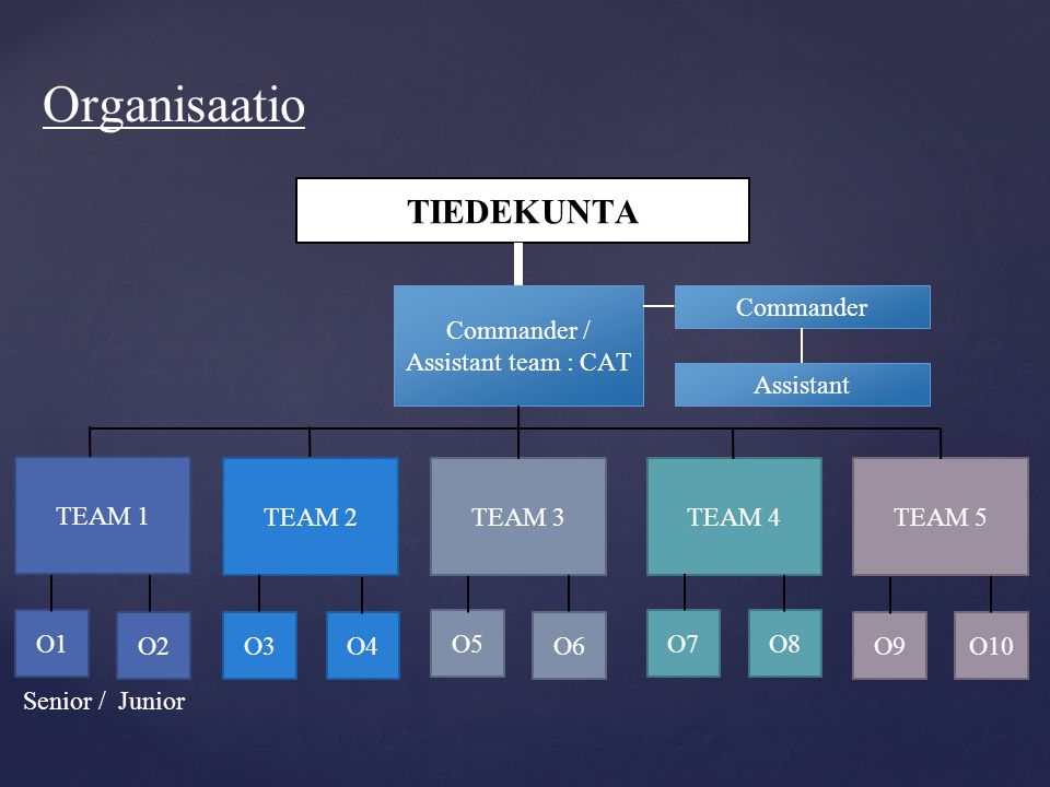 Organisaatio Commander / Assistant team : CAT TEAM 1 TEAM 2TEAM 3TEAM 4TEAM 5 O1 O2O3O4 O5 O6 O7O8 O9O10 Senior / Junior Commander Assistant TIEDEKUNTA