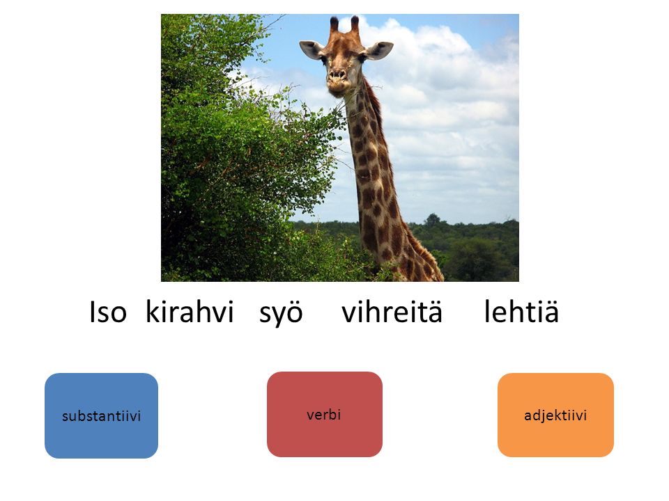 substantiivi verbi adjektiivi kirahvi syö Isovihreitälehtiä