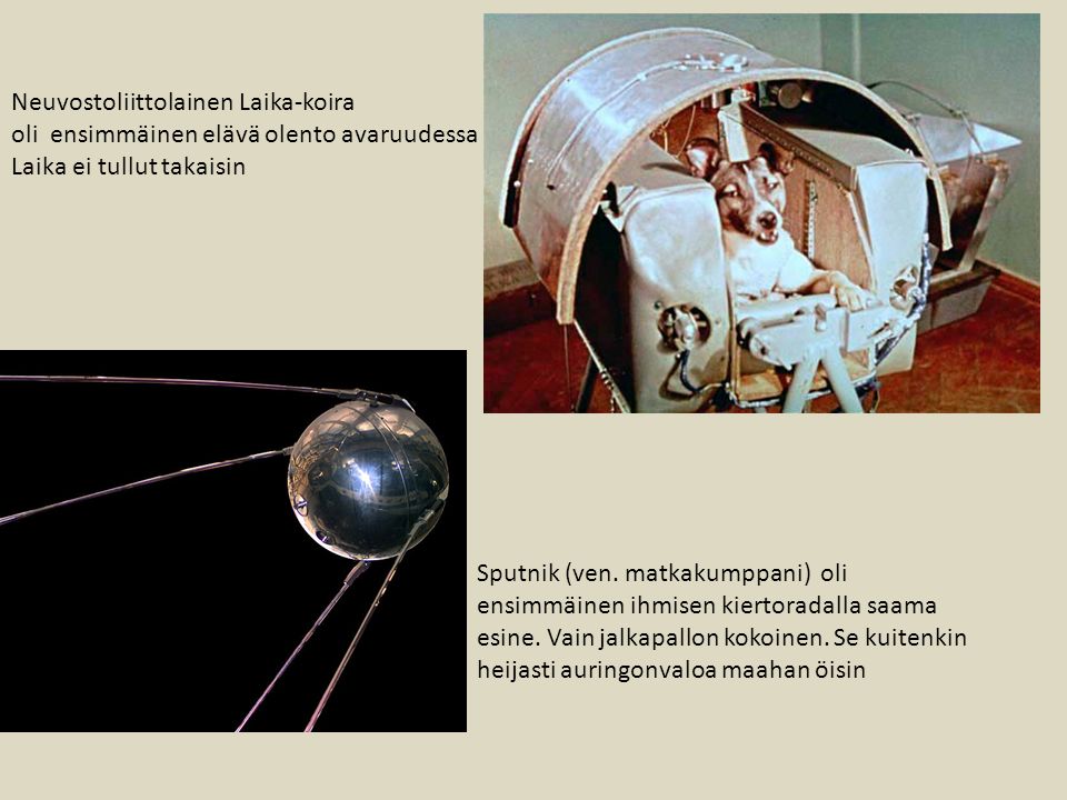 Neuvostoliittolainen Laika-koira oli ensimmäinen elävä olento avaruudessa Laika ei tullut takaisin Sputnik (ven.