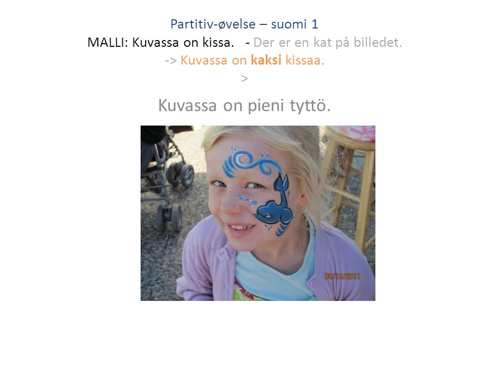 Partitiv-øvelse – suomi 1 MALLI: Kuvassa on kissa.