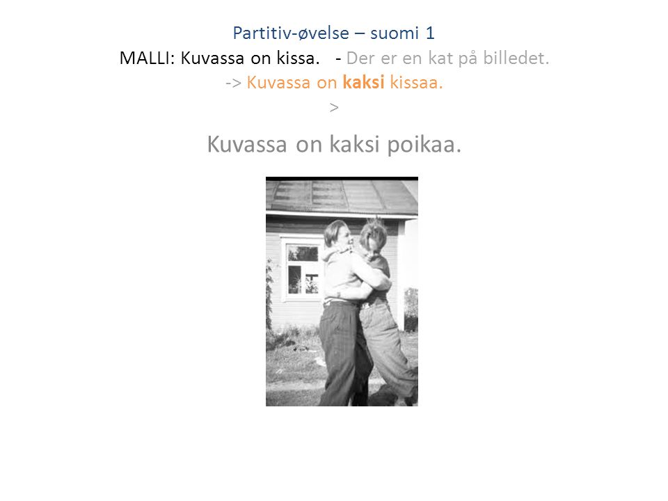 Partitiv-øvelse – suomi 1 MALLI: Kuvassa on kissa.