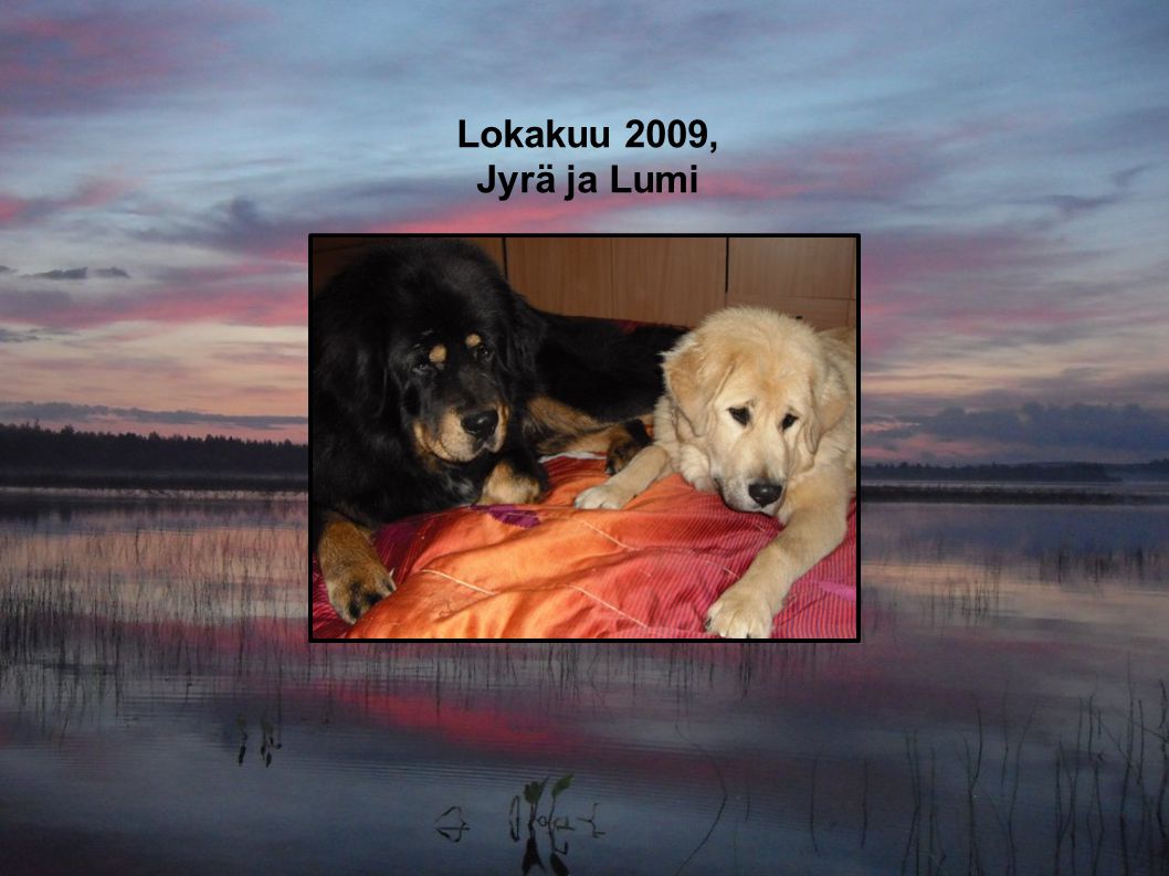 Lokakuu 2009, Jyrä ja Lumi
