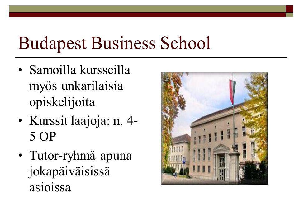 Budapest Business School •Samoilla kursseilla myös unkarilaisia opiskelijoita •Kurssit laajoja: n.