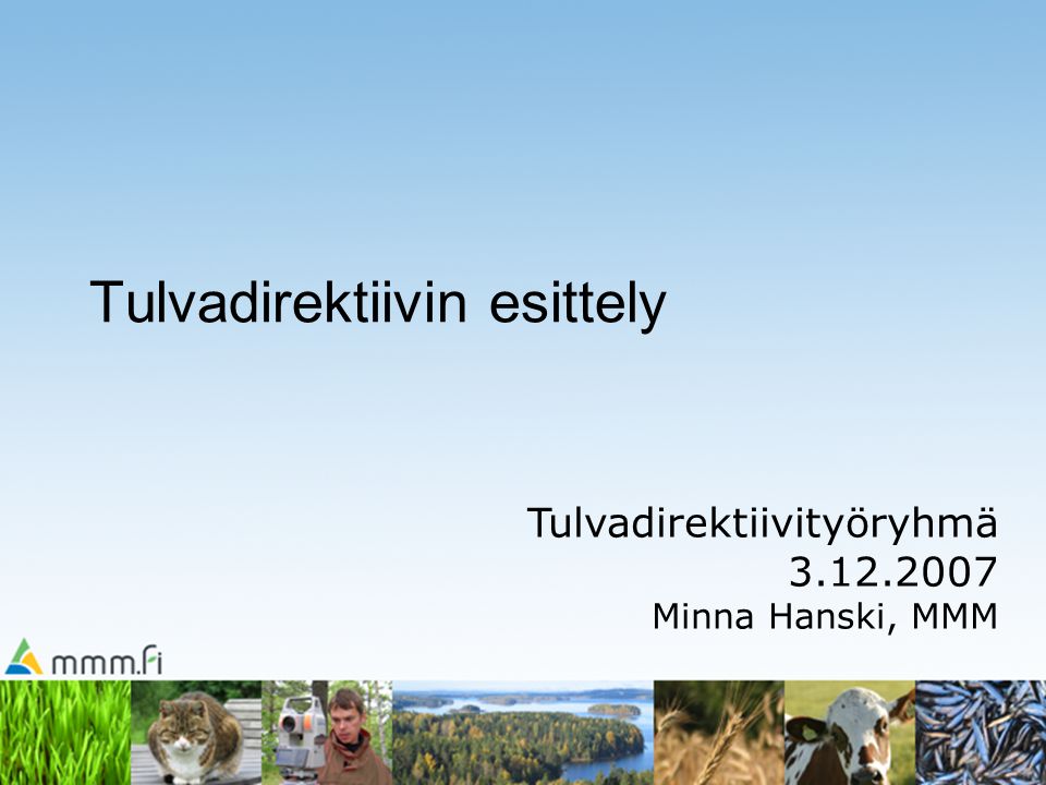 Tulvadirektiivin esittely Tulvadirektiivityöryhmä Minna Hanski, MMM