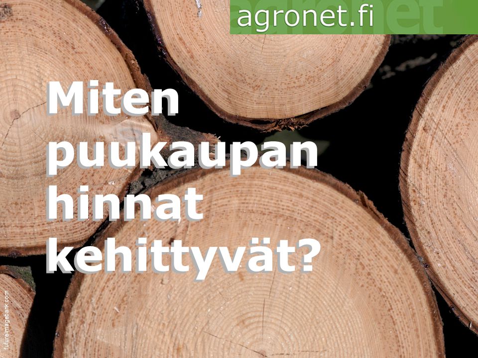 Miten puukaupan hinnat kehittyvät futureimagebank.com Miten puukaupan hinnat kehittyvät