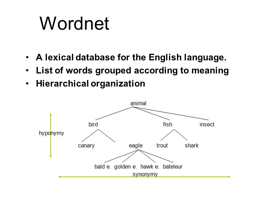 Wordnet •A lexical database for the English language.