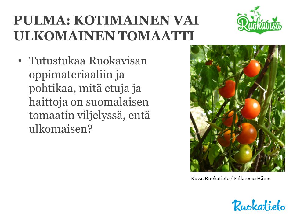 PULMA: KOTIMAINEN VAI ULKOMAINEN TOMAATTI • Tutustukaa Ruokavisan oppimateriaaliin ja pohtikaa, mitä etuja ja haittoja on suomalaisen tomaatin viljelyssä, entä ulkomaisen.