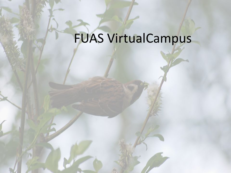 FUAS VirtualCampus