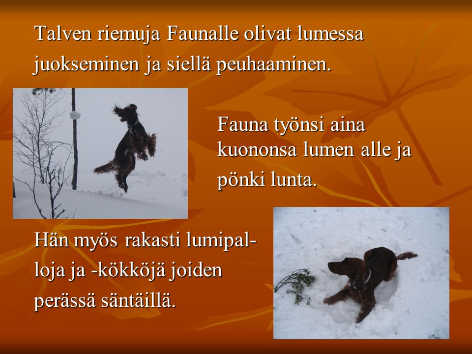 Talven riemuja Faunalle olivat lumessa Talven riemuja Faunalle olivat lumessa juokseminen ja siellä peuhaaminen.
