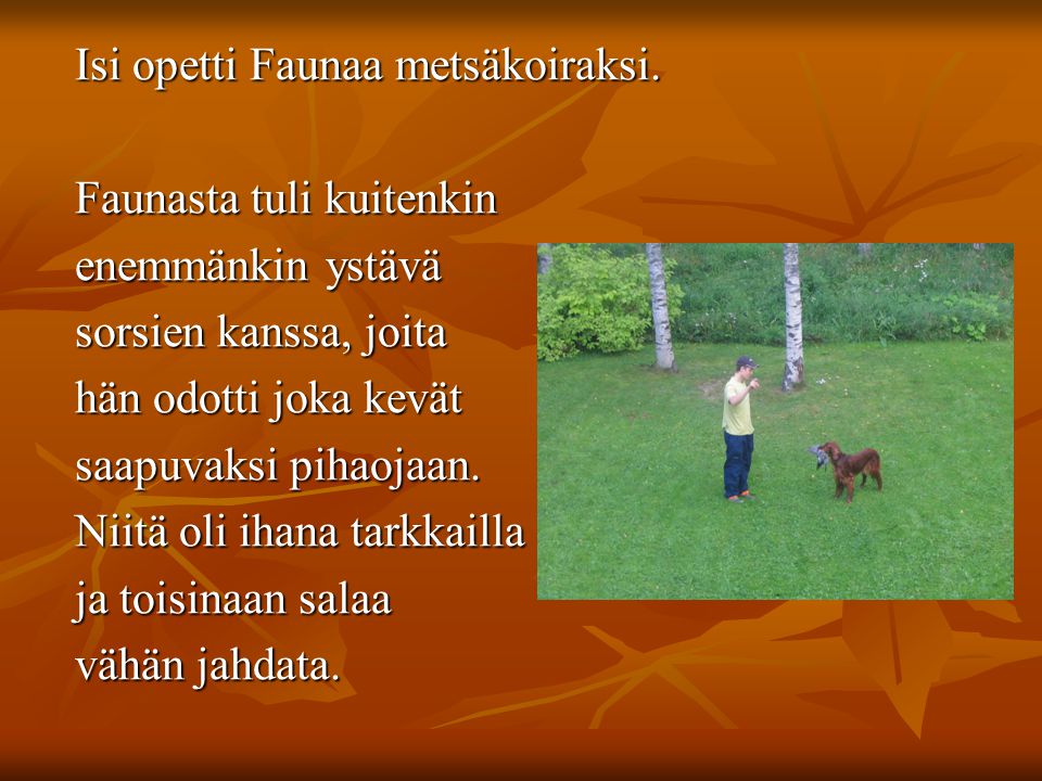 Isi opetti Faunaa metsäkoiraksi. Isi opetti Faunaa metsäkoiraksi.