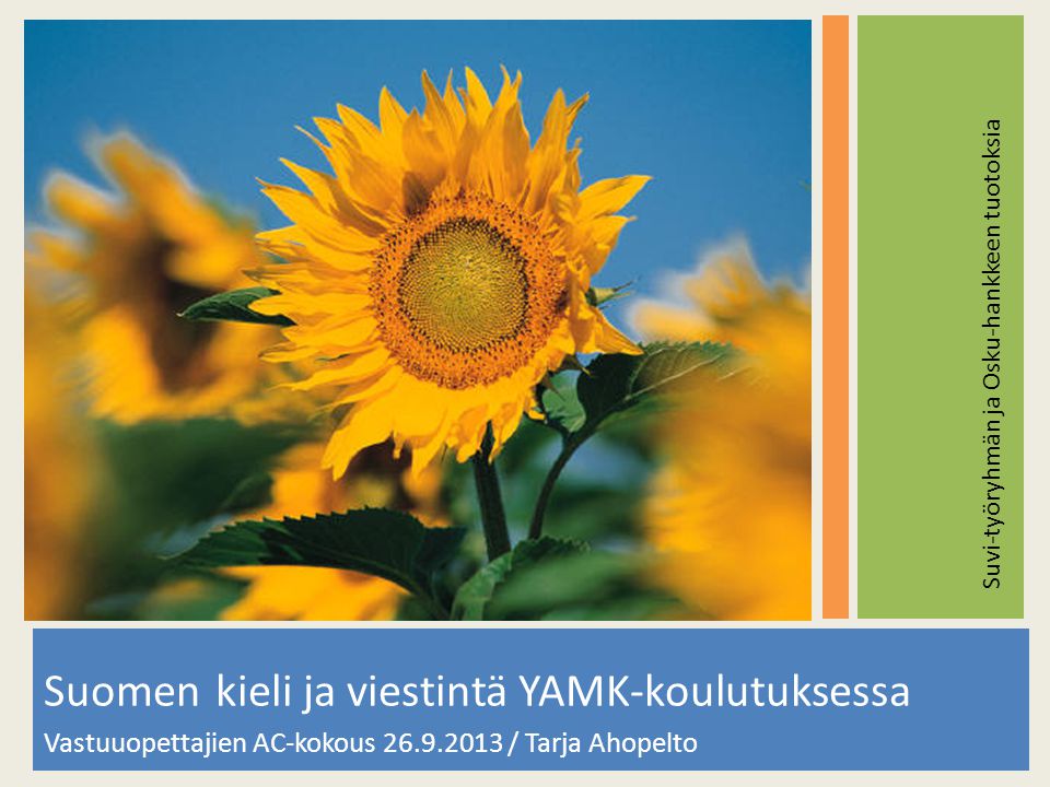 Suomen kieli ja viestintä YAMK-koulutuksessa Vastuuopettajien AC-kokous / Tarja Ahopelto Suvi-työryhmän ja Osku-hankkeen tuotoksia