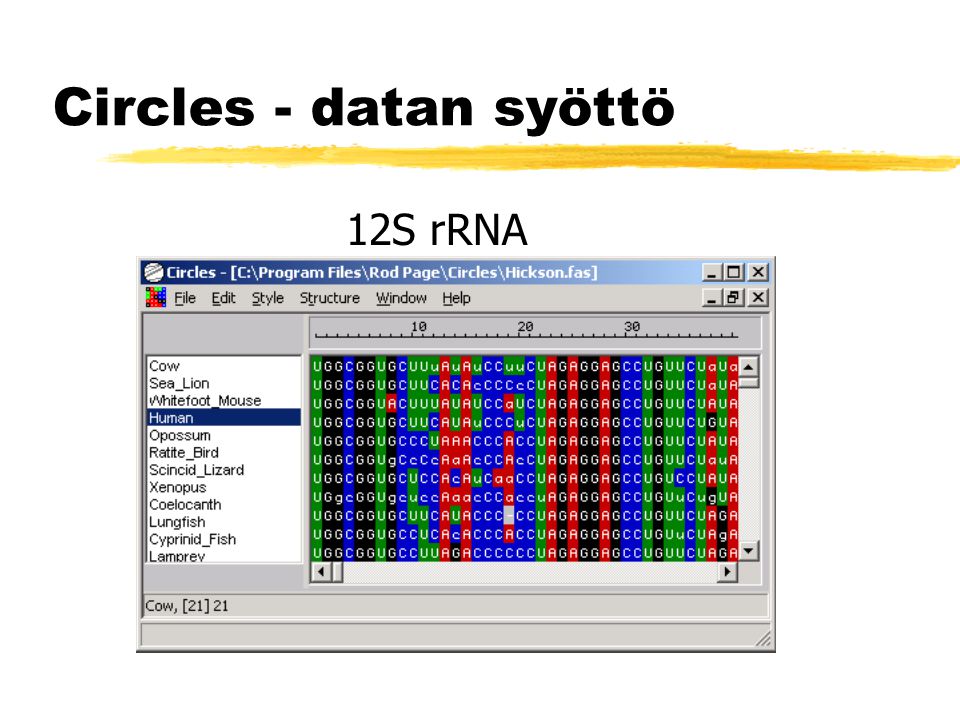 Circles - datan syöttö 12S rRNA
