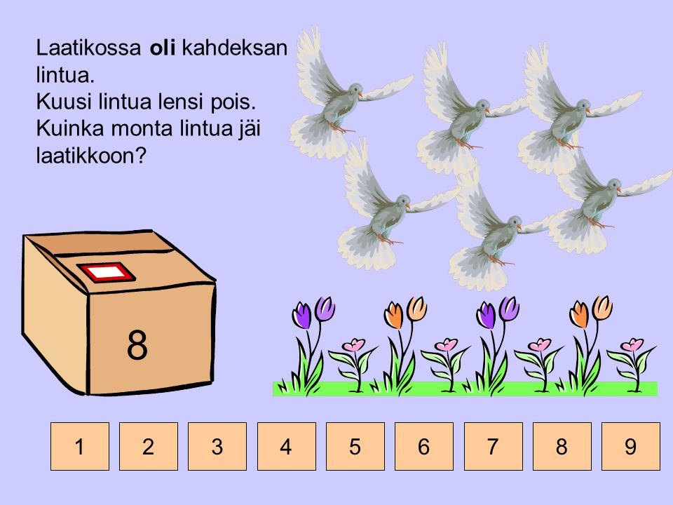 Laatikossa oli kahdeksan lintua. Kuusi lintua lensi pois.