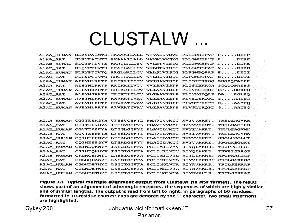 Syksy 2001Johdatus bioinformatiikkaan / T. Pasanen 27 CLUSTALW...