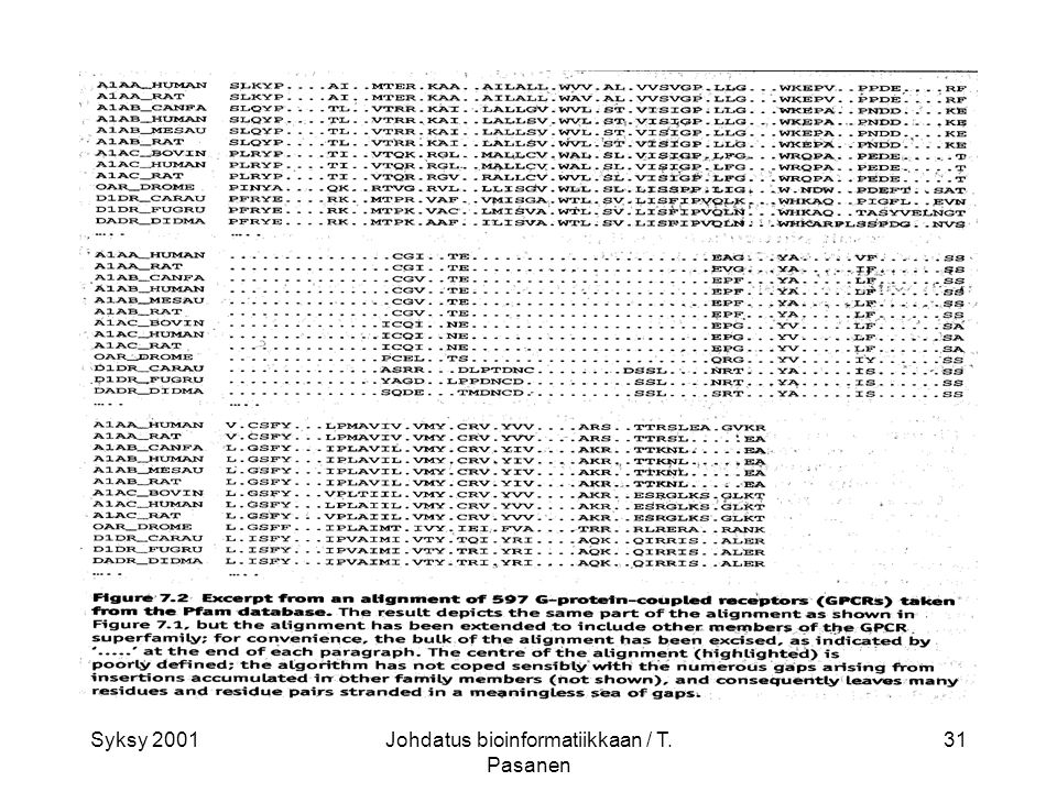Syksy 2001Johdatus bioinformatiikkaan / T. Pasanen 31